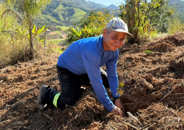 Prefeitura realiza plantio de mil mudas de árvores