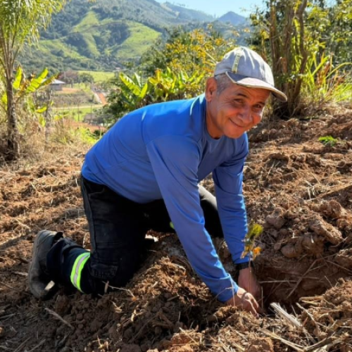 Prefeitura realiza plantio de mil mudas de árvores