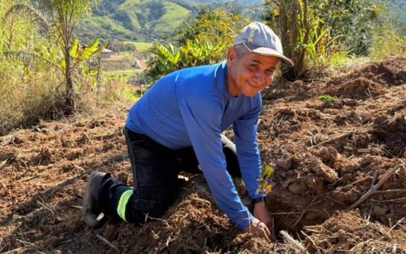 Prefeitura realiza plantio de mil mudas de árvores