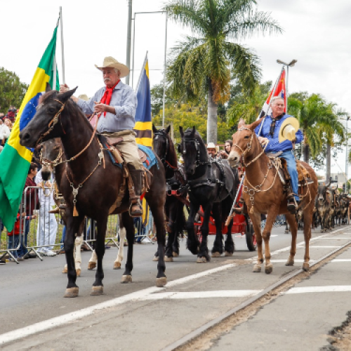EDIÇÃO DA CAVALARIA ANTONIANA DE JAGUARIÚNA ACONTECE NESTE DOMINGO