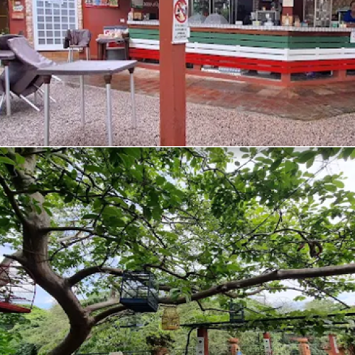 O senhor está fazendo propaganda enganosa. Onde estão a Santa e o Santuário?