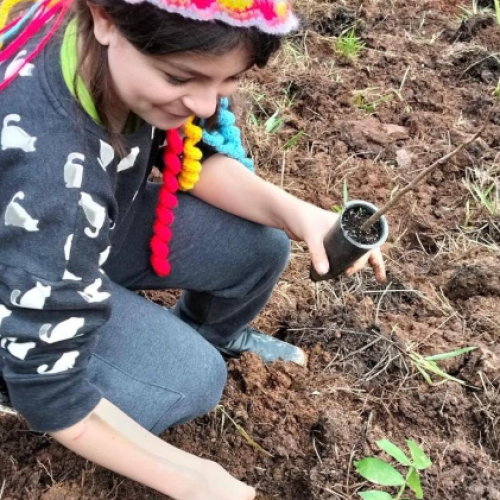 Monte Alegre do Sul realiza plantio de mais 1.000 mudas de árvores
