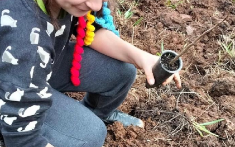 Monte Alegre do Sul realiza plantio de mais 1.000 mudas de árvores