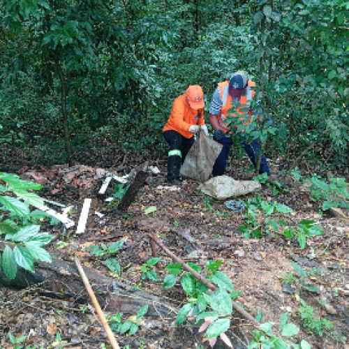 Monte Alegre do Sul zera casos de dengue em dezembro de 2025