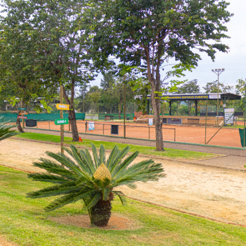 COMEÇA NO SÁBADO O 1º CAMPEONATO MUNICIPAL DE TÊNIS DE JAGUARIÚNA