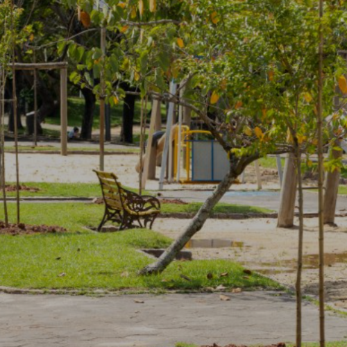 MEIO AMBIENTE REALIZA PLANTIO DE MUDAS NO PARQUE DOS LAGOS EM JAGUARIÚNA
