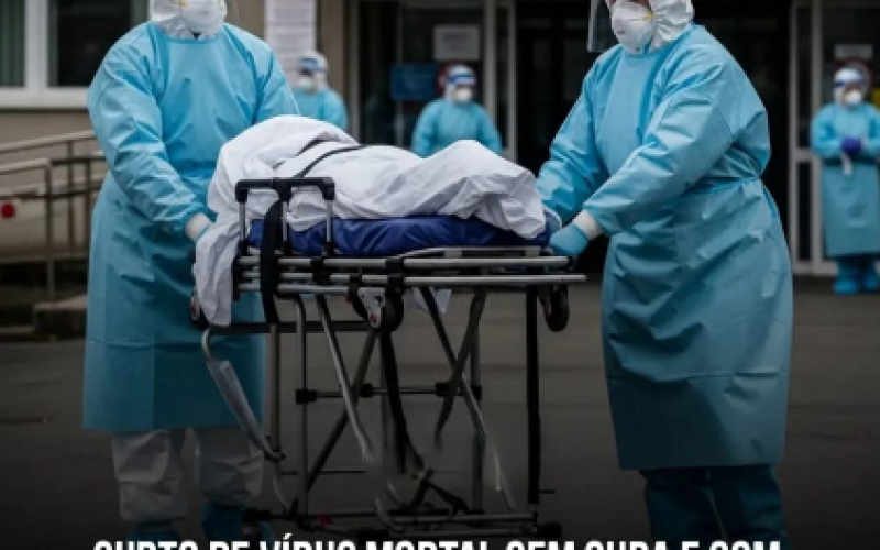 Alerta de novo Virús na Índia, preocupa autoridades de saúde