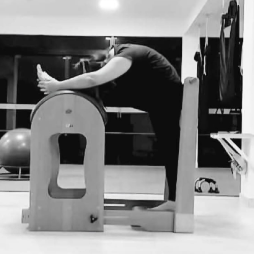 Pilates e mulheres: do cuidado com a postura à saúde íntima.