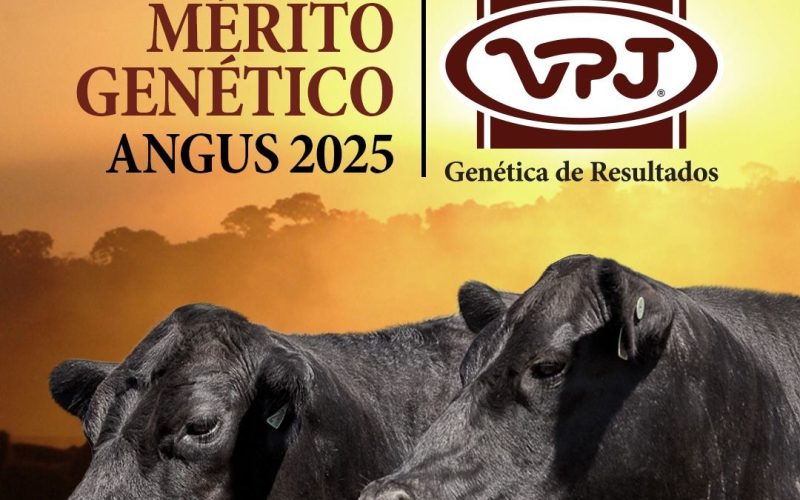 VPJ pecuária recebeu o Prêmio Mérito Genético 2025