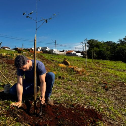 Posse mais verde: ação de plantio valoriza áreas verdes e celebra o Dia da Árvore