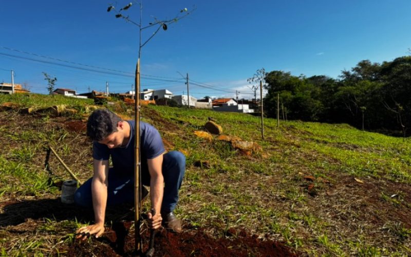 Posse mais verde: ação de plantio valoriza áreas verdes e celebra o Dia da Árvore